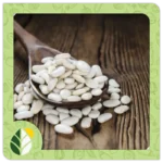 Legumes Alshifaa Sources (19)