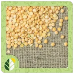 Legumes Alshifaa Sources (21)