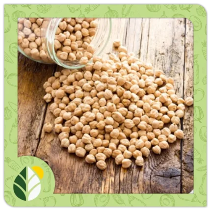 Legumes Alshifaa Sources (22)