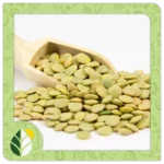 Legumes Alshifaa Sources (4)