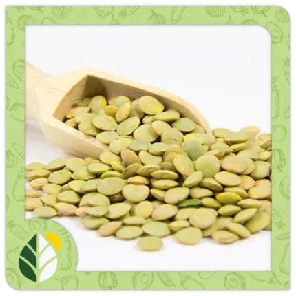 Legumes Alshifaa Sources (4)