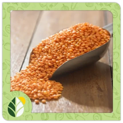 Legumes Alshifaa Sources (5)