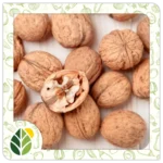 Nuts Alshifaa Sources (12)