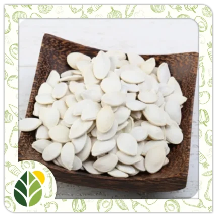 Nuts Alshifaa Sources (14)