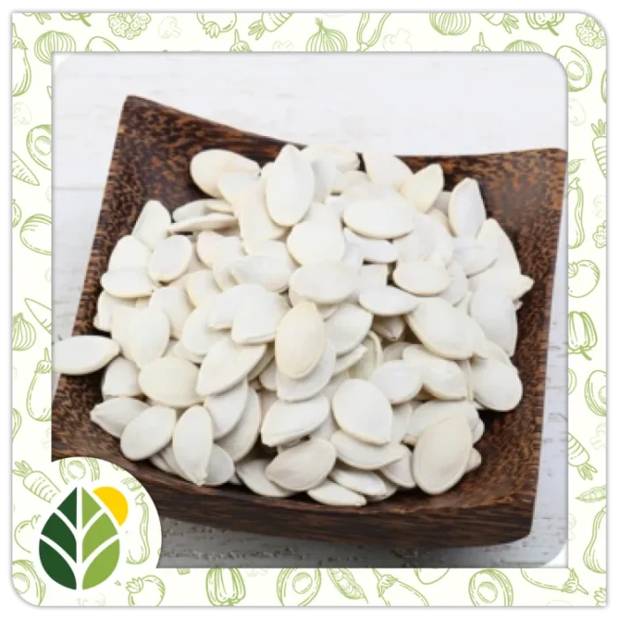 Nuts Alshifaa Sources (14)