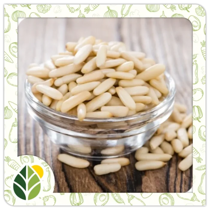 Nuts Alshifaa Sources (18) Nuts Alshifaa Sources (18)