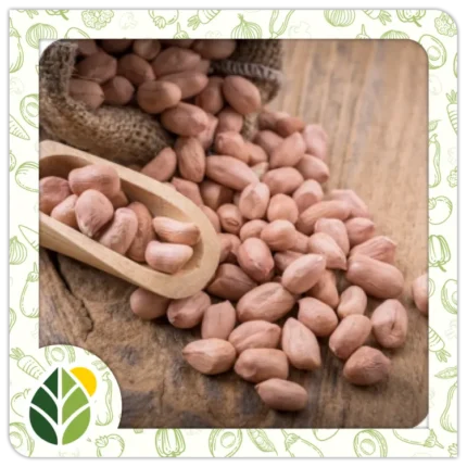 Nuts Alshifaa Sources (19)