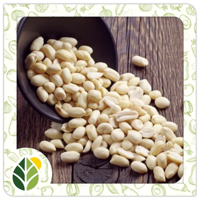 Nuts Alshifaa Sources (20) Nuts Alshifaa Sources (20)