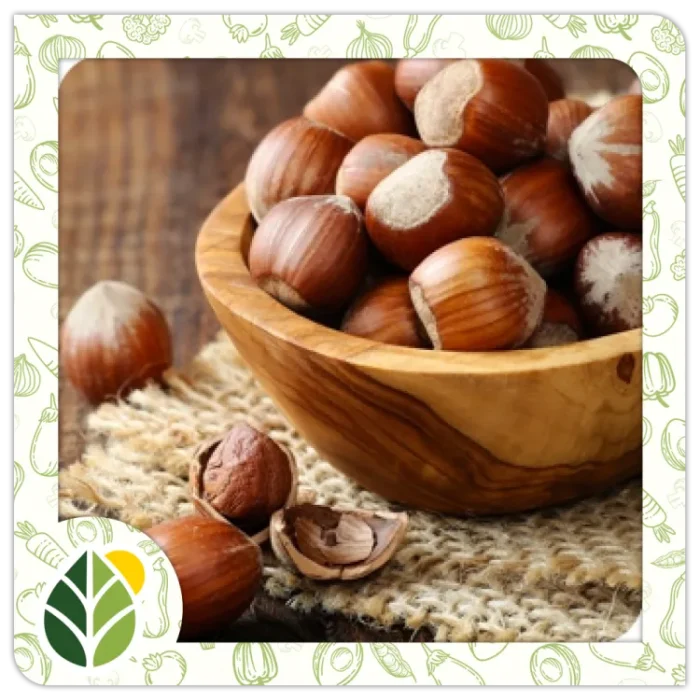 Nuts Alshifaa Sources (5)