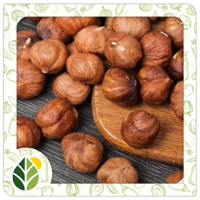 Nuts Alshifaa Sources (6) Nuts Alshifaa Sources (6)