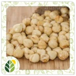 Nuts Alshifaa Sources (7)