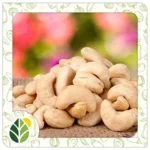 Nuts Alshifaa Sources (8)