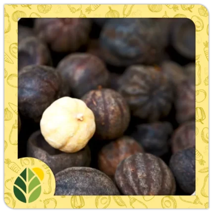 Spices Alshifaa Sources (1)