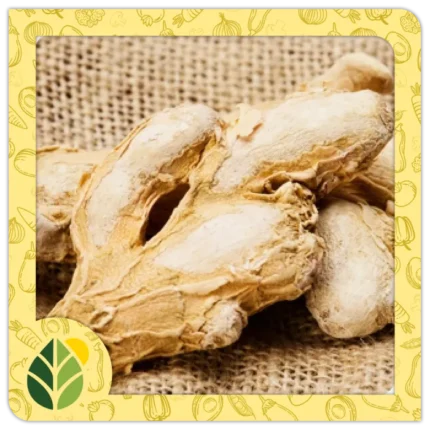 Spices Alshifaa Sources (11)