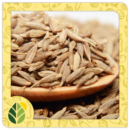 Spices Alshifaa Sources (18)