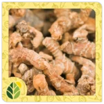 Spices Alshifaa Sources (8)