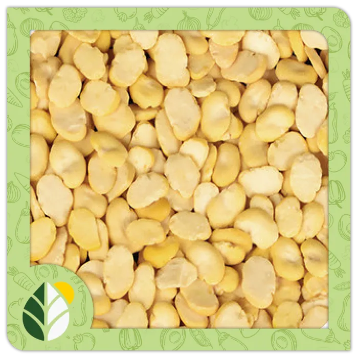 Legumes Alshifaa Sources (1)