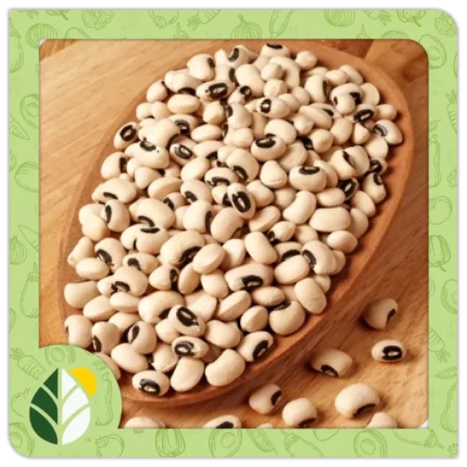 Legumes Alshifaa Sources (11)