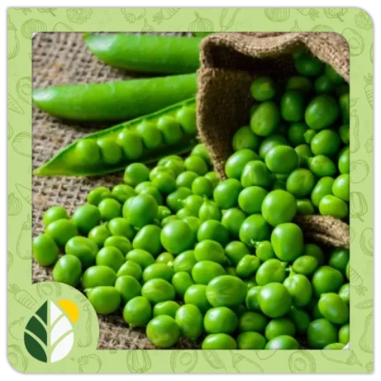 Legumes Alshifaa Sources (18)