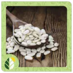 Legumes Alshifaa Sources (19)