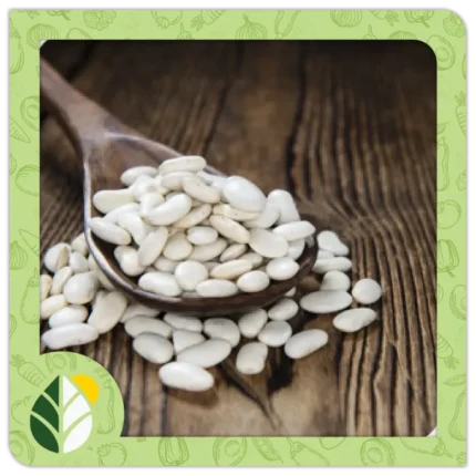 Legumes Alshifaa Sources (19)