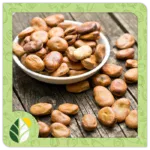 Legumes Alshifaa Sources (2)