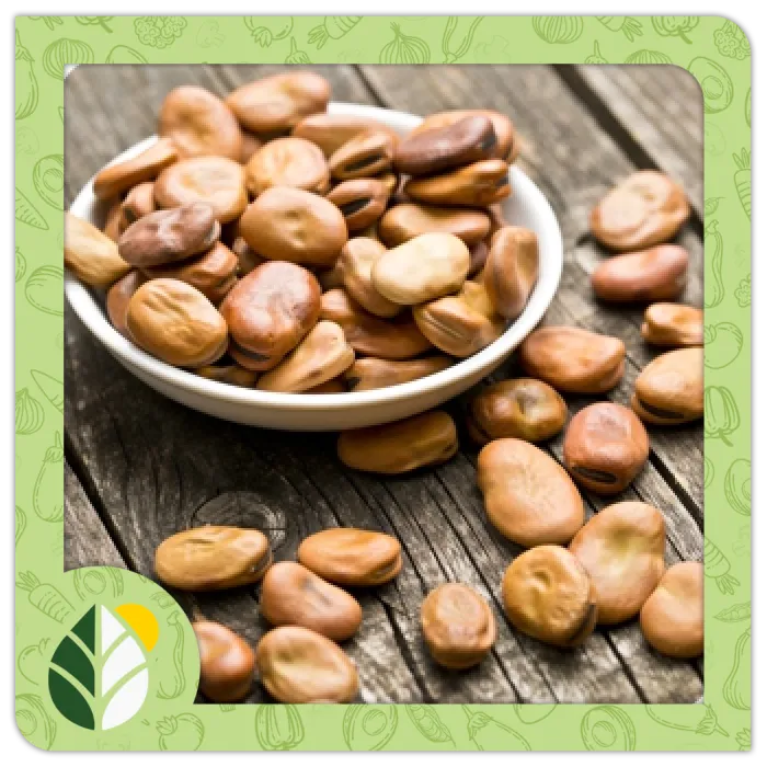 Legumes Alshifaa Sources (2)