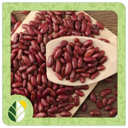 Legumes Alshifaa Sources (20)