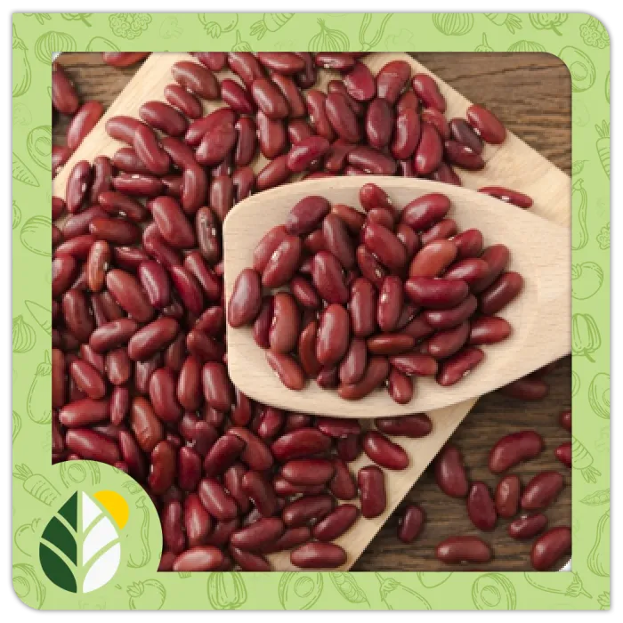 Legumes Alshifaa Sources (20)