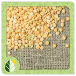 Legumes Alshifaa Sources (21)