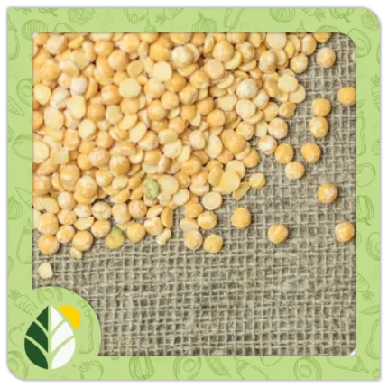 Legumes Alshifaa Sources (21)