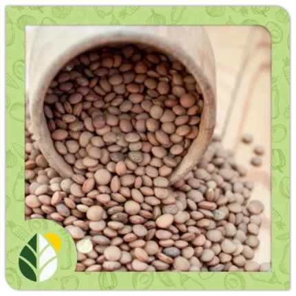 Legumes Alshifaa Sources (3)