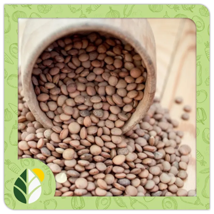 Legumes Alshifaa Sources (3)