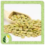 Legumes Alshifaa Sources (4)