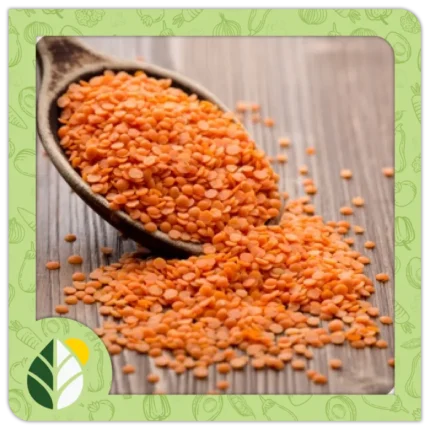 Legumes Alshifaa Sources (6)