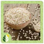 Legumes Alshifaa Sources (8)