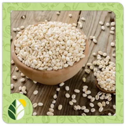 Legumes Alshifaa Sources (8)