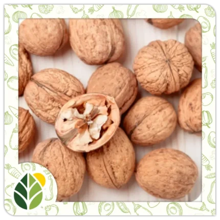 Nuts Alshifaa Sources (12)