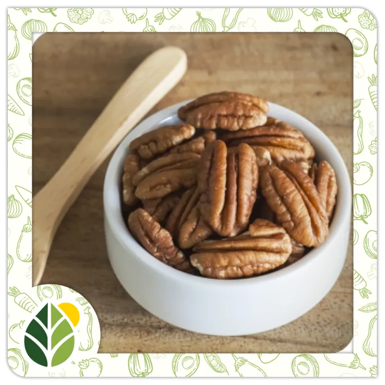 Nuts Alshifaa Sources (13)