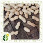 Nuts Alshifaa Sources (16)