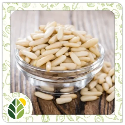 Nuts Alshifaa Sources (18)