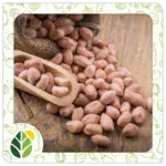 Nuts Alshifaa Sources (19)