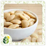 Nuts Alshifaa Sources (22)