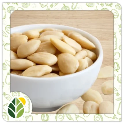 Nuts Alshifaa Sources (22)