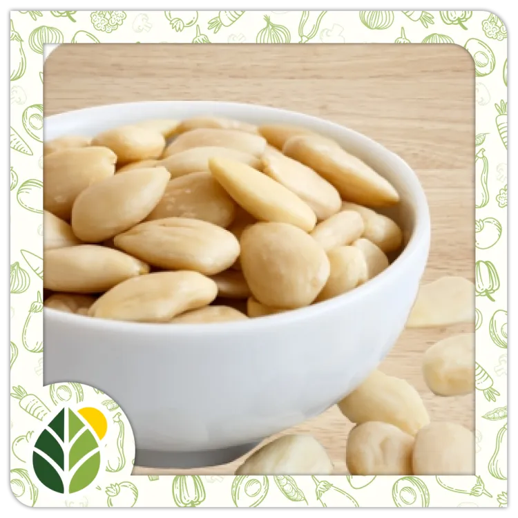 Nuts Alshifaa Sources (22)