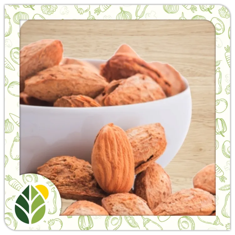 Nuts Alshifaa Sources (24) Nuts Alshifaa Sources (24)