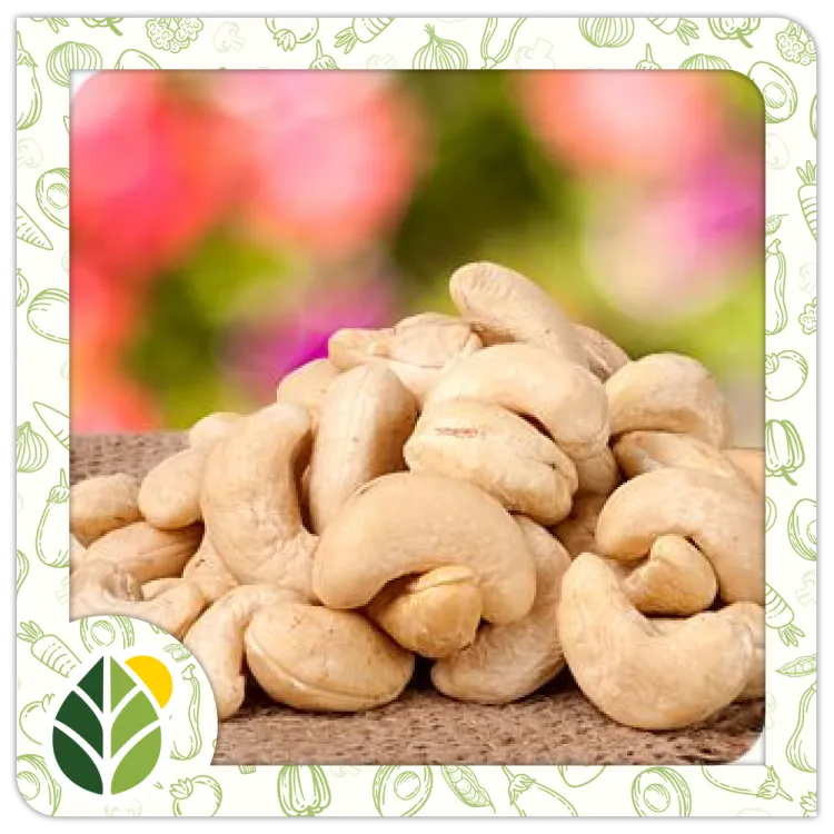 Nuts Alshifaa Sources (8) Nuts Alshifaa Sources (8)