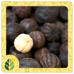 Spices Alshifaa Sources (1)