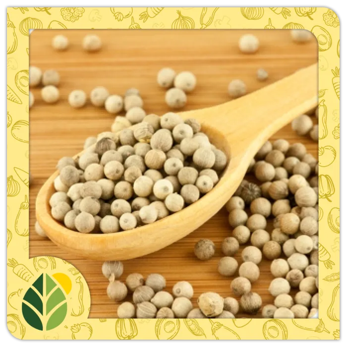 Spices Alshifaa Sources (13)