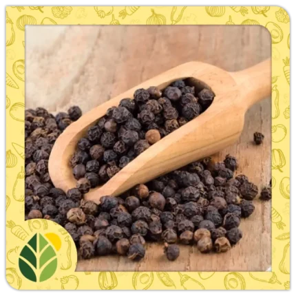 Spices Alshifaa Sources (14)